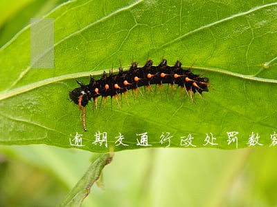 逾期交通行政处罚数额 逾期交通行政处罚数额