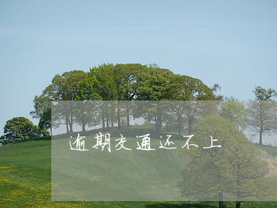 逾期交通还不上 逾期交通还不上