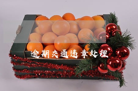 逾期交通违章处理 逾期交通违章处理