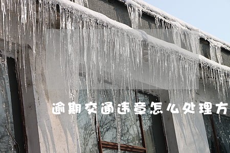逾期交通违章怎么处理方法 逾期交通违章怎么处理方法