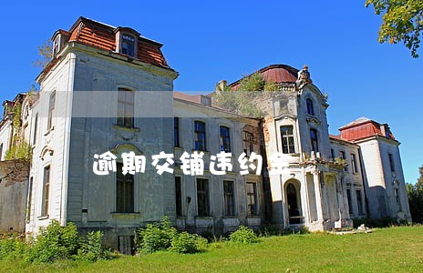 逾期交铺违约金 逾期交铺违约金