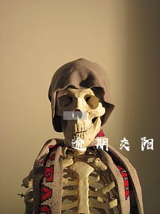 逾期交阳光保险有什么影响 逾期交阳光保险有什么影响