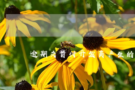 逾期交首付开发商产生的滞纳金 逾期交首付开发商产生的滞纳金