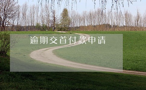 逾期交首付款申请 逾期交首付款申请