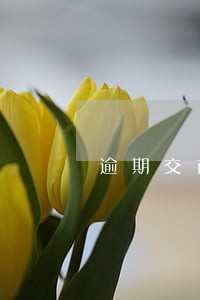 逾期交首付违约模板 逾期交首付违约模板