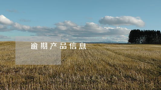 逾期产品信息 逾期产品信息
