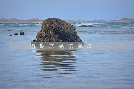 逾期产品信息表 逾期产品信息表