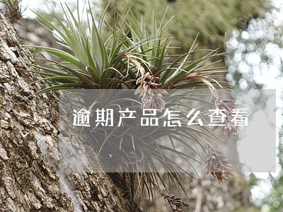 逾期产品怎么查看 逾期产品怎么查看