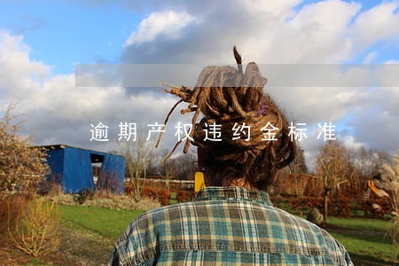 逾期产权违约金标准 逾期产权违约金标准