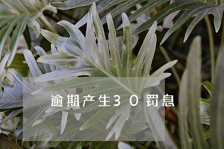 逾期产生30罚息 逾期产生30罚息