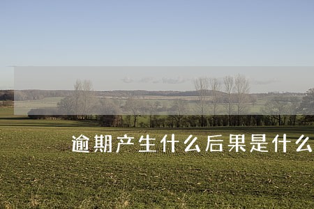逾期产生什么后果是什么 逾期产生什么后果是什么