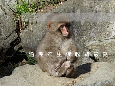 逾期产生催收费最高 逾期产生催收费最高