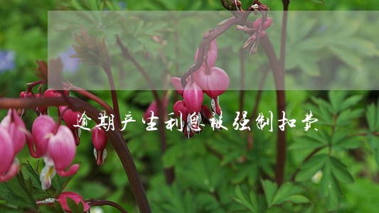 逾期产生利息被强制扣费 逾期产生利息被强制扣费