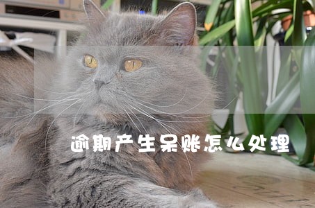逾期产生呆账怎么处理 逾期产生呆账怎么处理