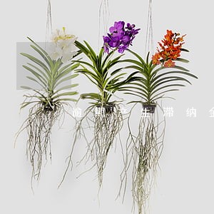 逾期产生滞纳金后果 逾期产生滞纳金后果