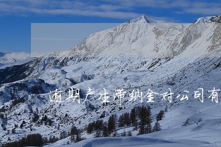 逾期产生滞纳金对公司有什么影响 逾期产生滞纳金对公司有什么影响