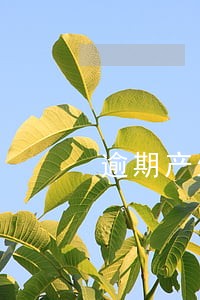 逾期产生的仓储费用 逾期产生的仓储费用