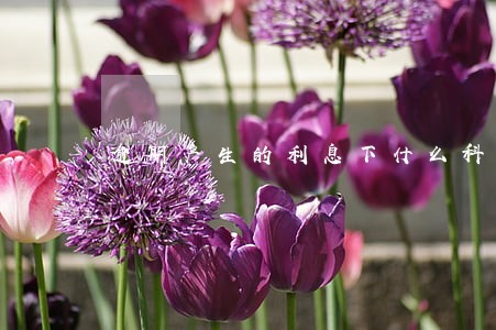 逾期产生的利息下什么科目 逾期产生的利息下什么科目