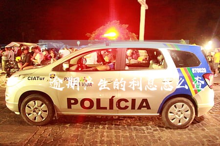 逾期产生的利息怎么查 逾期产生的利息怎么查