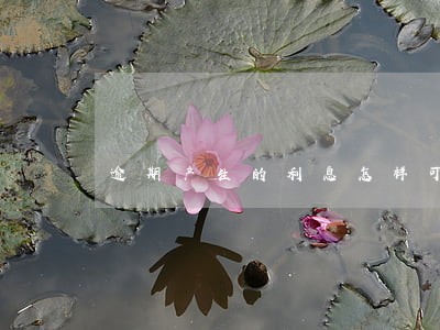 逾期产生的利息怎样可以减免 逾期产生的利息怎样可以减免