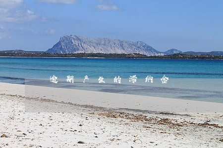 逾期产生的滞纳金 逾期产生的滞纳金