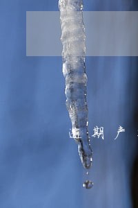 逾期产生的滞纳金怎么做账 逾期产生的滞纳金怎么做账