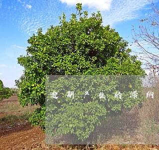 逾期产生的滞纳金怎么算时间 逾期产生的滞纳金怎么算时间