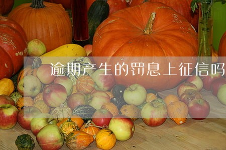 逾期产生的罚息上征信吗 逾期产生的罚息上征信吗
