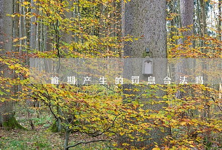 逾期产生的罚息合法吗 逾期产生的罚息合法吗