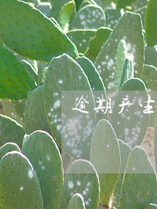 逾期产生的罚款分录