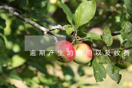 逾期产生的费用以及收费标准 逾期产生的费用以及收费标准