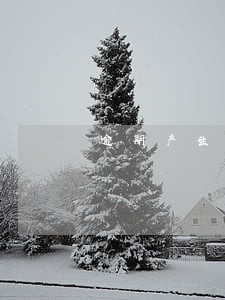 逾期产生的费用怎么算 逾期产生的费用怎么算