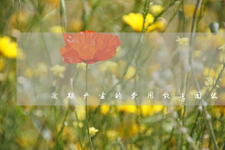 逾期产生的费用能追回么