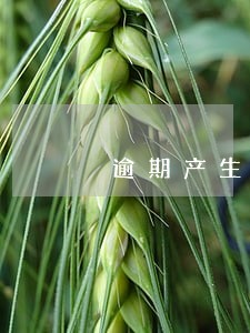 逾期产生的违约金 逾期产生的违约金