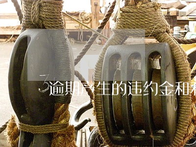 逾期产生的违约金和利息怎么算 逾期产生的违约金和利息怎么算