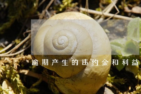 逾期产生的违约金和利益可以退吗 逾期产生的违约金和利益可以退吗