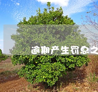 逾期产生罚息之后怎么还款 逾期产生罚息之后怎么还款