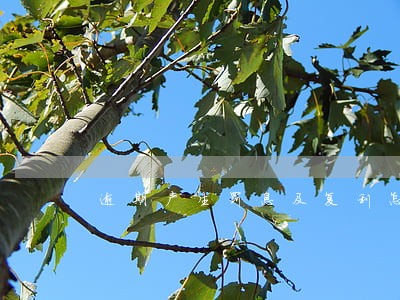 逾期产生罚息及复利怎么计算 逾期产生罚息及复利怎么计算