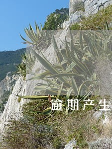 逾期产生违约金影响房贷吗 逾期产生违约金影响房贷吗