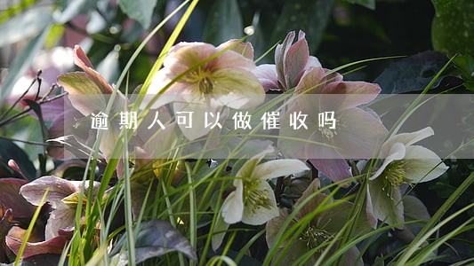 逾期人可以做催收吗 逾期人可以做催收吗