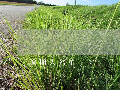 逾期人名单
