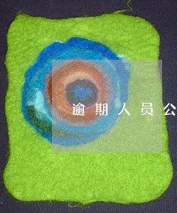 逾期人员公布在网上 逾期人员公布在网上