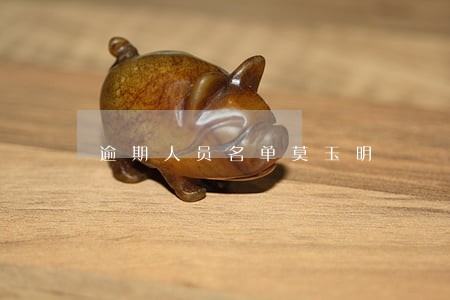 逾期人员名单莫玉明 逾期人员名单莫玉明