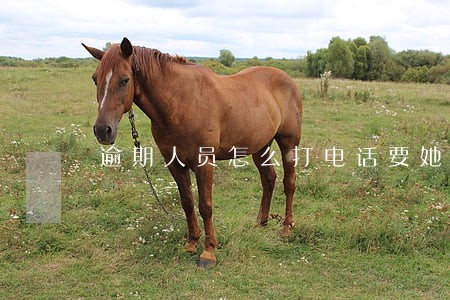 逾期人员怎么打电话要她还钱