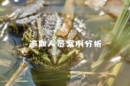 逾期人员案例分析 逾期人员案例分析