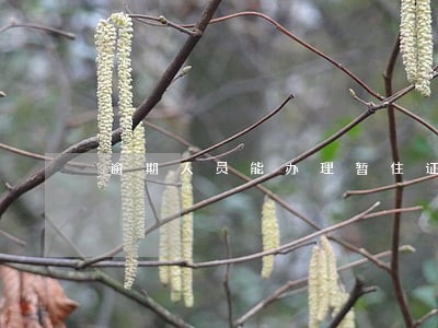 逾期人员能办理暂住证吗 逾期人员能办理暂住证吗