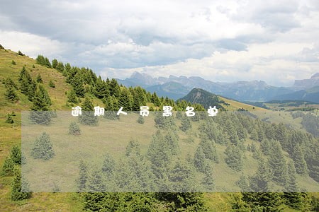 逾期人员黑名单 逾期人员黑名单