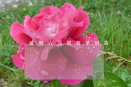 逾期人员黑名单刘涛 逾期人员黑名单刘涛