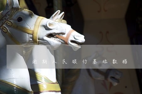 逾期人民银行基础数据 逾期人民银行基础数据
