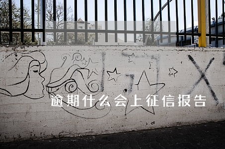 逾期什么会上征信报告